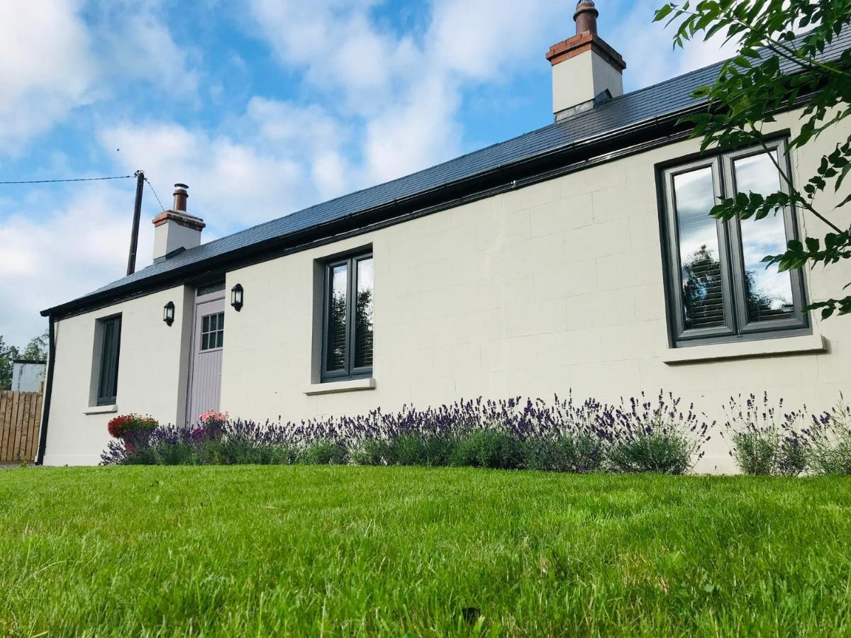 Lavender Cottage - 2 Bedroom Home Newbridge  Exterior foto