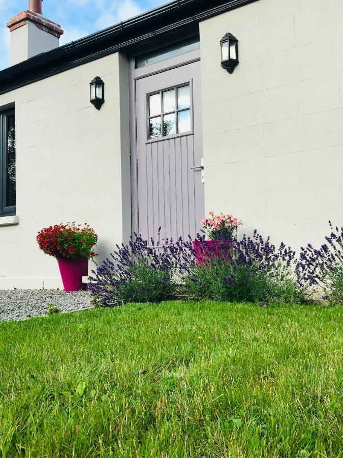 Lavender Cottage - 2 Bedroom Home Newbridge  Exterior foto